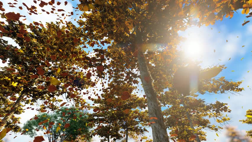 Slow-motion of golden autumn leaves gently falling in a grove, capturing seasonal beauty, nature serenity, and peaceful landscapes.