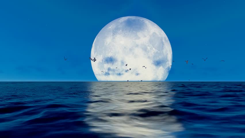Time-lapse of a flock of sea birds flying across the sky as the moon rises over the ocean, creating a serene and mesmerizing coastal night scene.