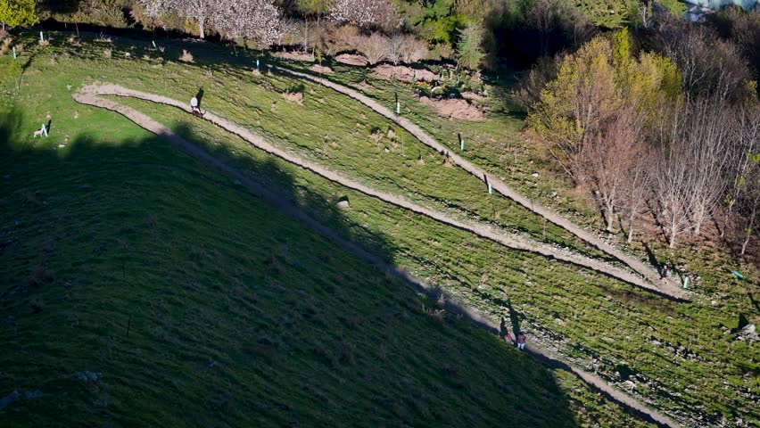 Aerial view of houses with varied roof colors and tree foliage along the streets, creating a vibrant contrast, The Wood, Nelson, New Zealand.