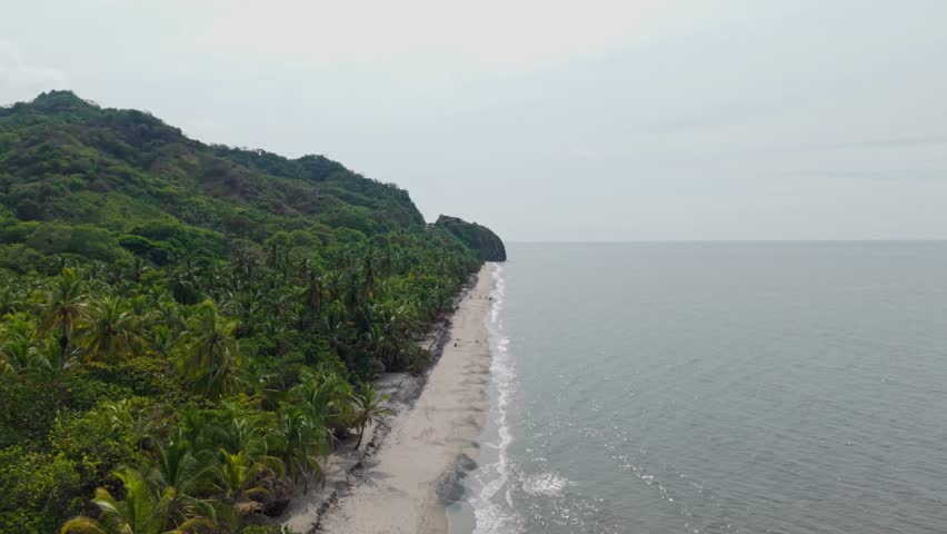 Scenic aerial panning footage of a tropical beach with lush green hills and calm ocean water in palomino