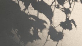 Natural pattern from plants, Soft transparent light and shadows from grapevine with foliage on wall. Shadows of branches with leaves overlay on wall, visual effect. Gray shadow of foliage on plaster 
 - Powered by Shutterstock - Get 15% off with code: PIKWIZARD15