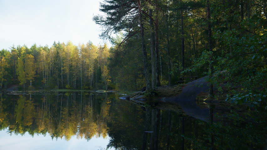 Wide shot of the edge of a lake and the water reflects the trees