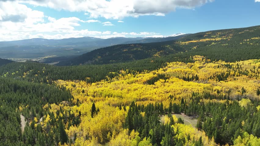 Drone reveal of Colorado aspens in the Rocky mountains 2025