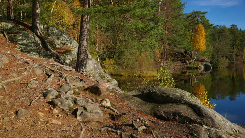 Wide shot of trees and cliffs at the edge of a lake