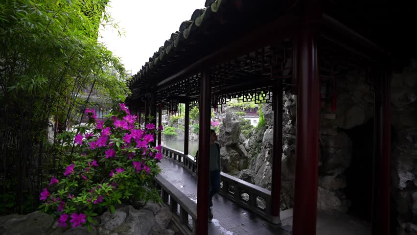 Slow motion of a tourist walking along a walkway over a pond in Yuyuan Garden, taking in the traditional scenery of Shanghai, China