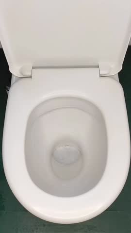 Close-up video of a white toilet flushing with clean water in a modern bathroom, clear stream, hygiene and plumbing concept.
