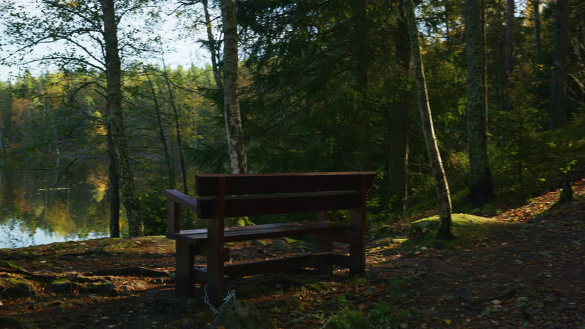 Wide shot of a lonely bench with a scenic view to the lake on an autumn day