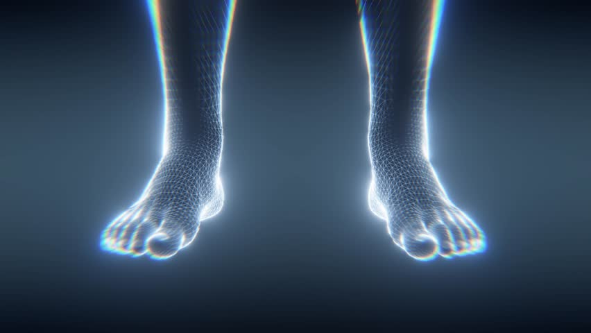 A detailed scientific wireframe or xray of a human feet illuminated on dark blue background.