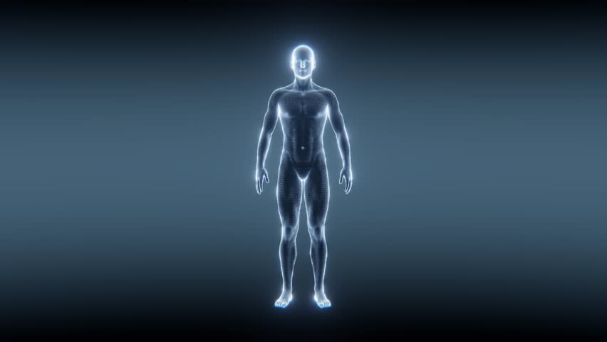 A detailed scientific wireframe or xray of a human body illuminated on dark blue background.