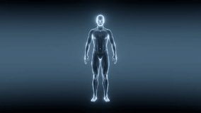 A detailed scientific wireframe or xray of a human body illuminated on dark blue background. - Powered by Shutterstock - Get 15% off with code: PIKWIZARD15