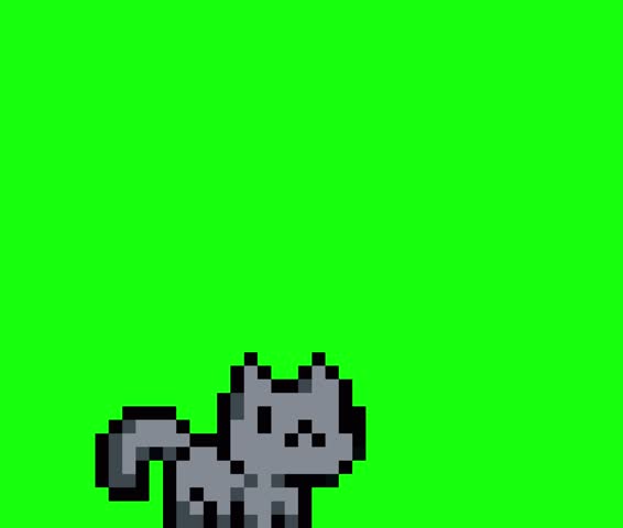 loop animation jumping grey cat animal in pixel art style with green screen