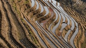 Golden rice terraces curve across the mountains of Longsheng in Guangxi, China - Powered by Shutterstock - Get 15% off with code: PIKWIZARD15