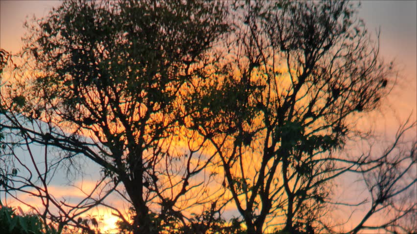 The sunset sky with its red orange color behind the black clouds is so beautiful
