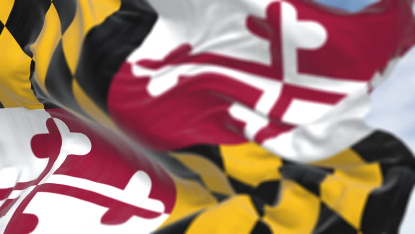 close-up of Maryland state flag waving on a clear day. Four quadrants with the colors of the Calvert and Crossland families. Seamless 3d render animation. Slow motion loop. Selective focus