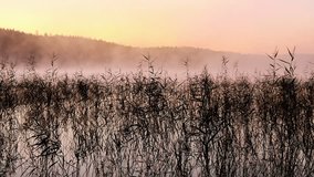 Misty lake with reeds near Gothenburg, Sweden during early morning light at dawn - Powered by Shutterstock - Get 15% off with code: PIKWIZARD15