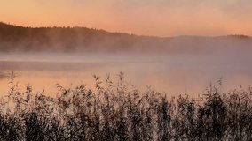 Misty reeds sway gently at sunrise by the serene lake outside Gothenburg, Sweden - Powered by Shutterstock - Get 15% off with code: PIKWIZARD15