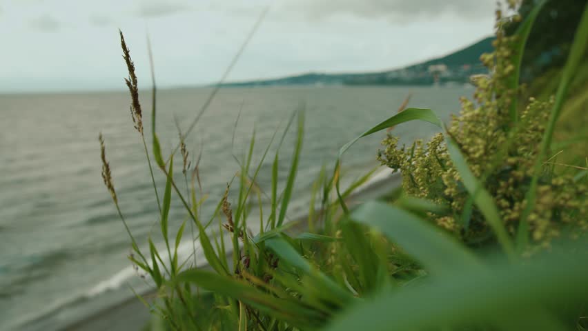View from hill across wind-blown grass to blurred view of sea bay and buildings on coast at foot of mountain