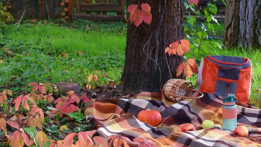 Picnic on a beautiful bright autumn evening in the garden. Golden hour.