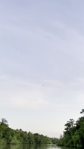 Peaceful POV video from a sandbank showing a bird flying over a calm river beneath a clear blue sky, surrounded by lush green forest and gentle water reflections.