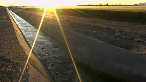 Farm irrigation ditch, flowing with water, nourishing field crops, lit by bright, yellow rays of setting sun. 1080p