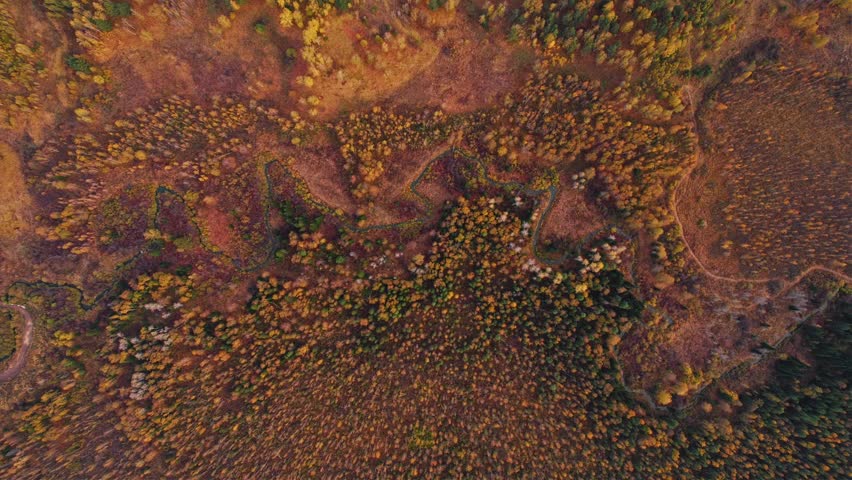 Aerial landscape yellow autumn forest with blue meanders winding river with sun light.