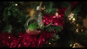 Unique lightbulb terrarium ornament with a green succulent adorns a festive Christmas tree branch Shimmering red tinsel and soft twinkling lights create a cozy holiday ambiance - Powered by Shutterstock - Get 15% off with code: PIKWIZARD15