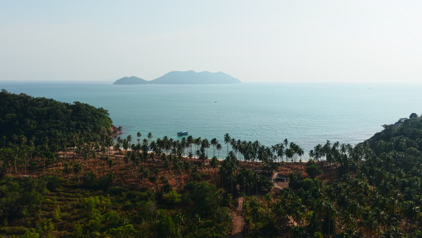 Tropical beach with palm trees and turquoise water near a small island