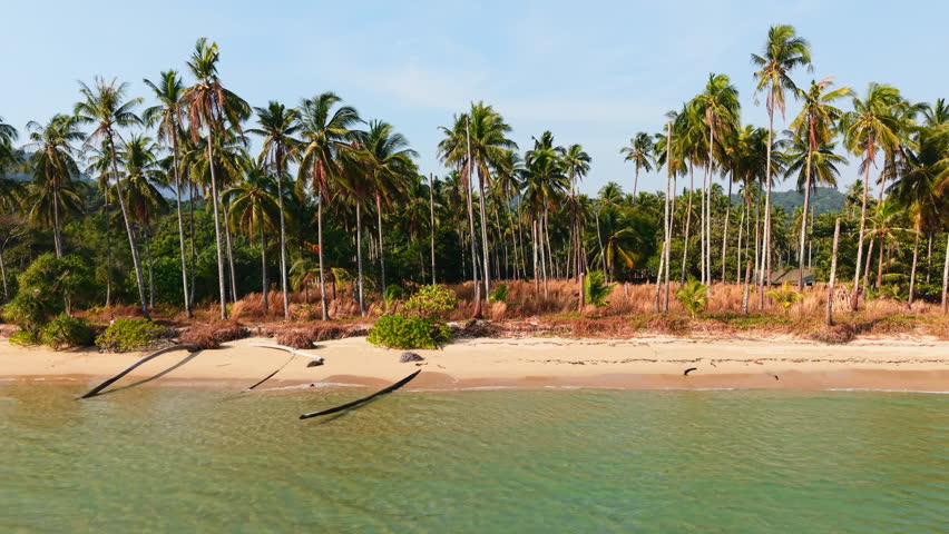 Lush palm trees line the sandy shore of wai chaek beach in thailand, creating a serene tropical paradise