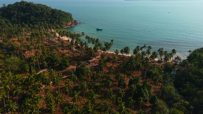 Tropical wai chaek beach in koh chang, thailand, showing palm trees, turquoise water, and a single anchored boat
