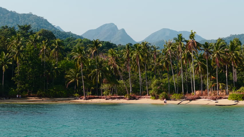 Lush palm trees line wai chaek beach, creating a serene tropical paradise
