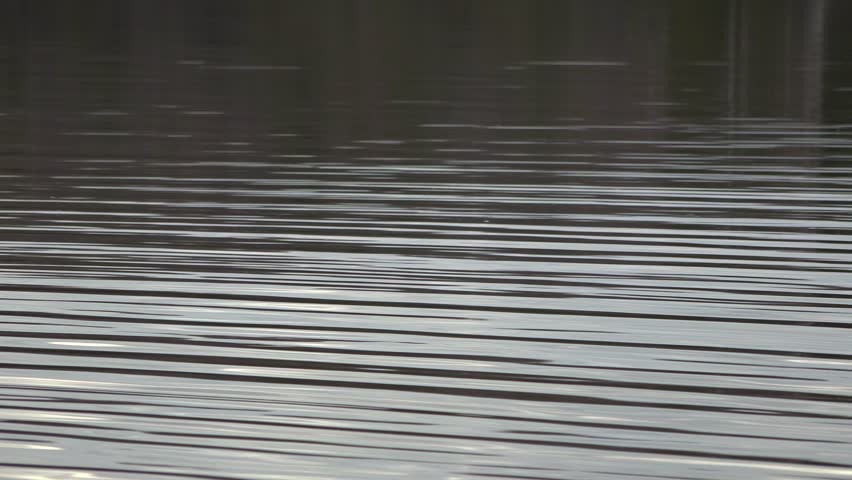 A textured close-up of water creating soft ripples on a lake.