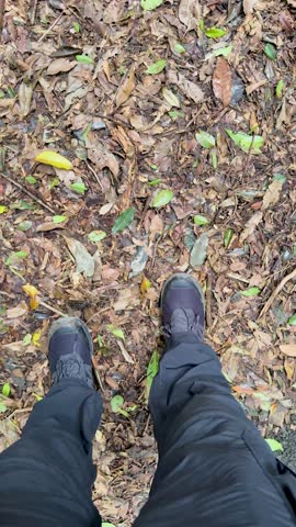 Person walks on leaf-covered rainforest ground, steady downward view, natural daylight, handheld camera movement