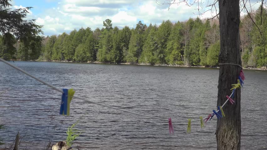 An empty clothesline with colourful clothespins blows in the wind beside a sunny rural lake surrounded by forest.