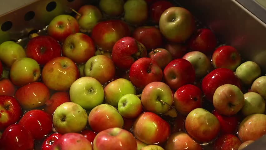 Close-up of freshly harvested apples being washed in a water tank. A hand stirs the apples during cleaning. Perfect for agriculture, food safety, or farm processing visuals.