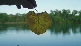 Heart-Shaped Golden Leaf Held Against a Serene Autumn River - Powered by Shutterstock - Get 15% off with code: PIKWIZARD15