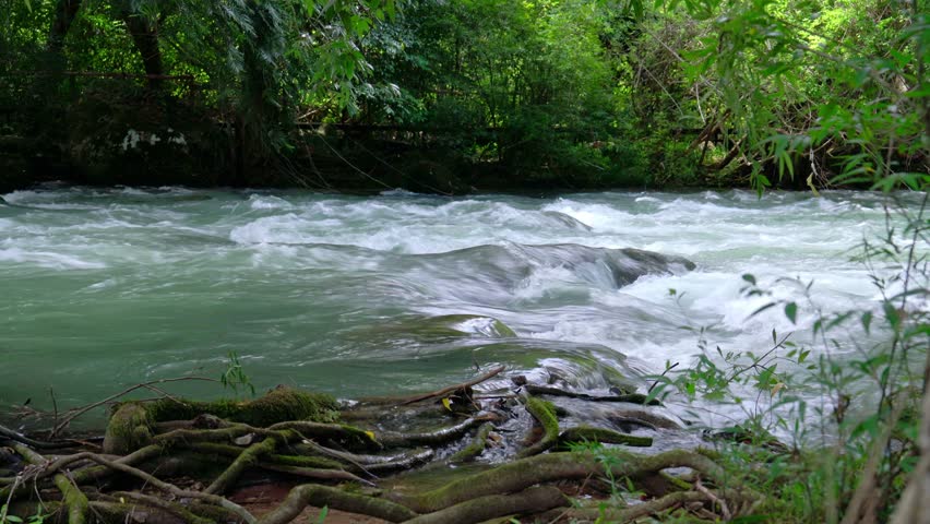 Superb view of summer: The fantastic Moot valley in Phong Nha National Park, Vietnam with the sound of a clear stream flowing through the peaceful tropical jungle