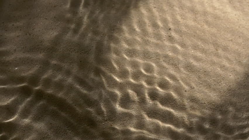 Close-up water surface ripples and splash, palm tree leaf shadow on sand texture