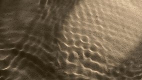 Close-up water surface ripples and splash, palm tree leaf shadow on sand texture - Powered by Shutterstock - Get 15% off with code: PIKWIZARD15