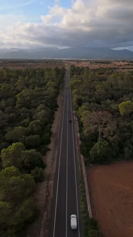 Aerial drone shot following a long straight road through a lush green forest landscape