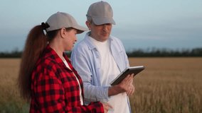 farmer man and woman consult tablet among ripening wheat rows., harvest agreement at sunset: farmers unite, man and woman farmer evaluate tablet readings over wheat fields., farmer handshake in golden - Powered by Shutterstock - Get 15% off with code: PIKWIZARD15