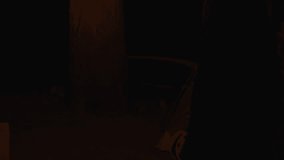 Night string lights hanging on trees in the forest create a cozy and peaceful atmosphere, illuminating the dark woods with warm gentle light among the trunks - Powered by Shutterstock - Get 15% off with code: PIKWIZARD15