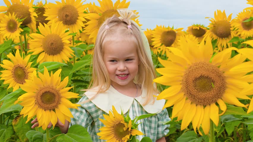 A cheerful Little child girl in dress in a field of sunflowers in summer, a summer concept