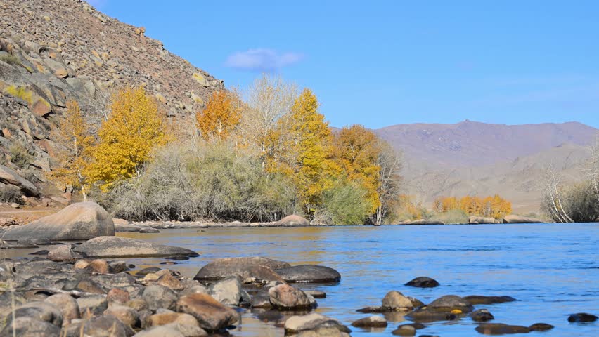 A scenic autumn landscape in rural Mongolia. A pristine blue river flows through a valley with golden foliage on its banks as arid mountains rise under a clear blue sky.
