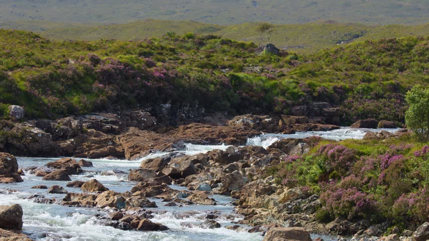 Clear river rushes over rocks, surrounded by wildflowers and green hills under natural daylight