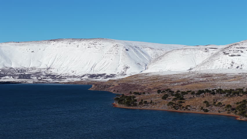 Wide aerial trucking along snow-covered Andes mountains towering over the deep blue Lake Caviahue and Araucaria trees in Patagonia Argentina