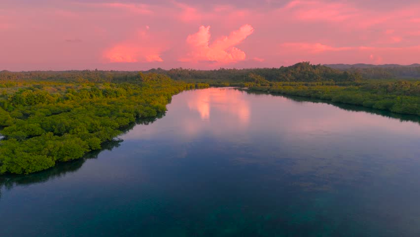 Aerial view of the flooded Amazonia forest within the Anavilhanas archipelago, featuring calm waters reflecting a dramatic pink sky at sunset, Rio Negro, Brazil.