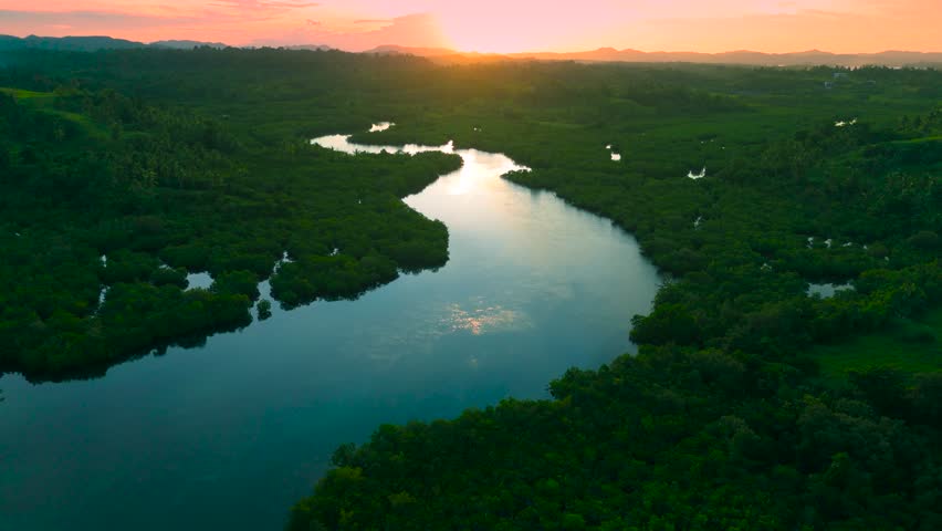 Aerial view of a winding river surrounded by dense green forest at sunset, Anavilhanas archipelago, Rio Negro, Brazil.