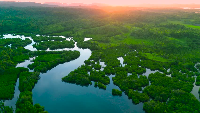 Aerial view of the Anavilhanas archipelago, featuring a flooded Amazonia forest with winding waterways at sunrise, Rio Negro, Brazil.