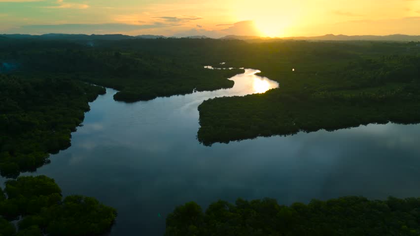 Aerial view of a winding river flowing through a dense flooded forest at sunset, Anavilhanas archipelago, Rio Negro, Brazil.