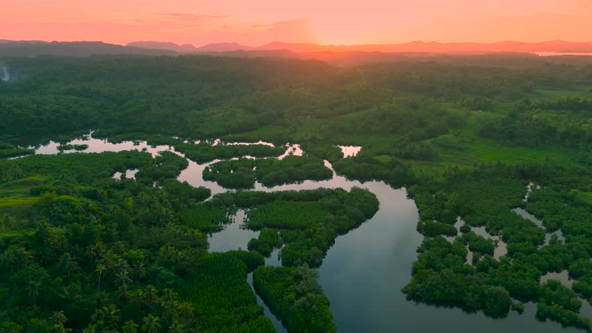 Aerial of flooded Amazon forest and Anavilhanas archipelago islands within the winding Rio Negro at sunset, Brazil.